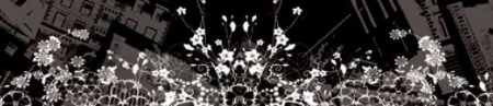 banner_cc6