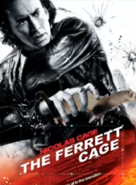 FerrettCage