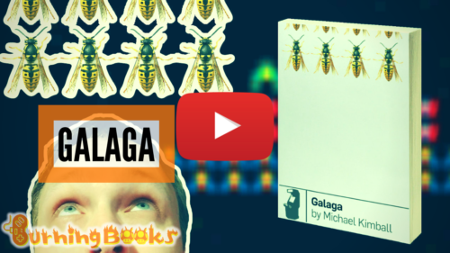 Galaga book review